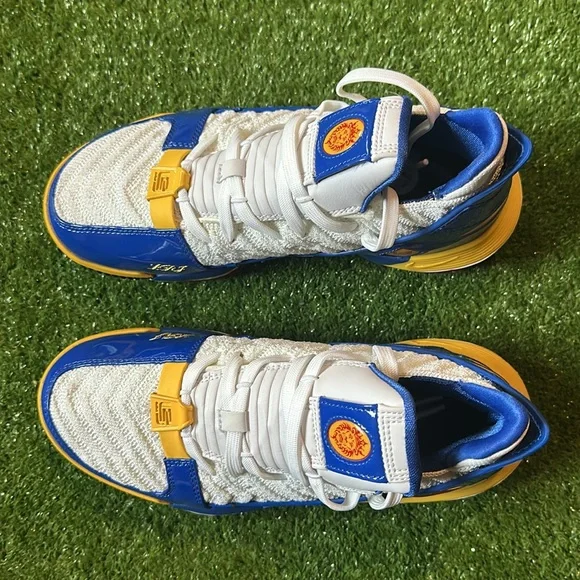 Lebron XVI SB - Grade School Size 6 - New W/Damaged Box